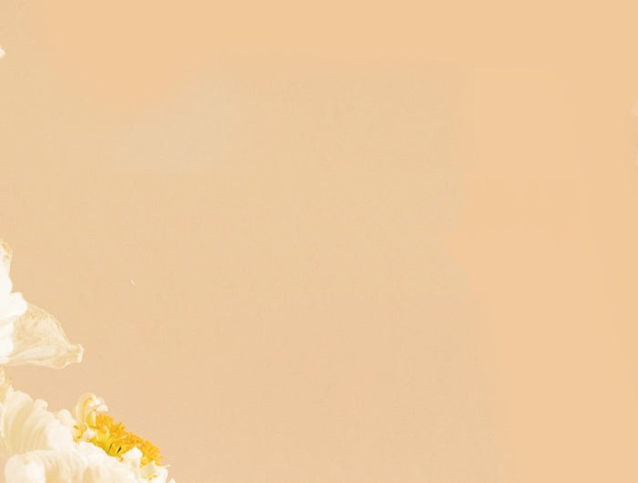 NUOVA COLLEZIONE PE/26