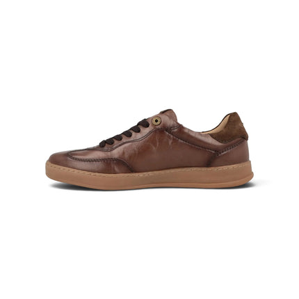 Sneakers Bassa Uomo in Pelle Marrone | Alberto Guardiani LIBRA TOP DARK BROWN Alberto Guardiani 