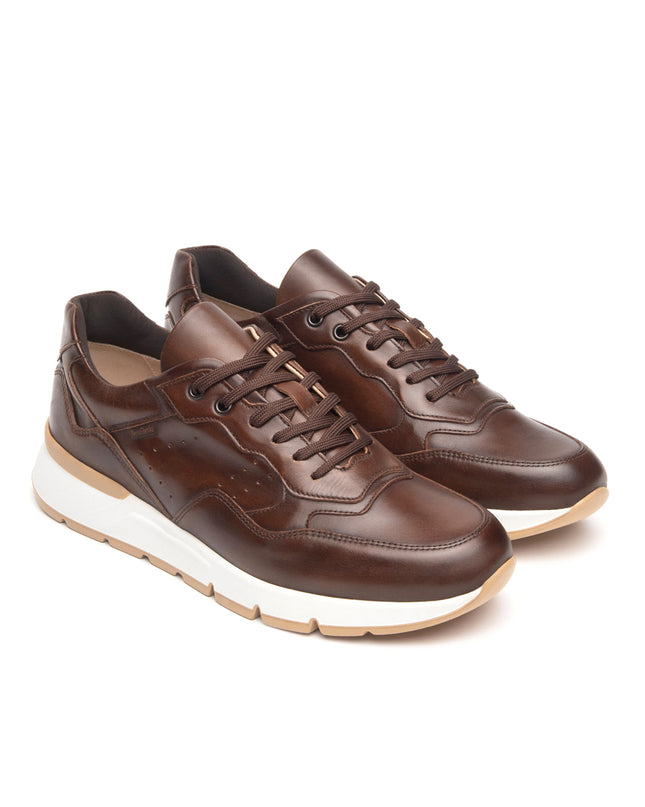 NeroGiardini Sneakers Bassa Uomo in Pelle Marrone E500640U BEIGE 412 Nero Giardini 