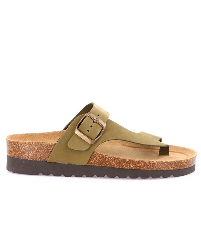 Grunland CB0327 HOLAOLIVA