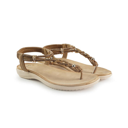 Exe 46067 JA3BROWN