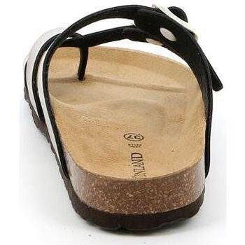Grunland CB2640SARA CHAMPAGNE