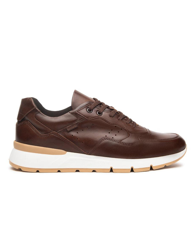 NeroGiardini Sneakers Bassa Uomo in Pelle Marrone E500640U BEIGE 412 Nero Giardini 