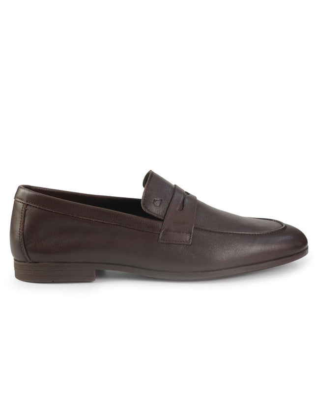 Frau 34P5CASTAGNO