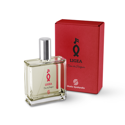Profumi Equivalenti Ispirati Montale LIGEA ARABIANS TONKA Spatarella 