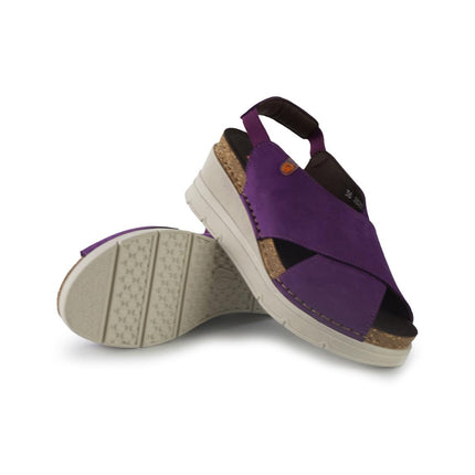 Jungla 8027PURPLE
