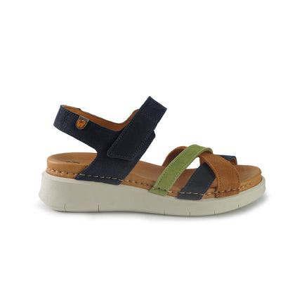Jungla 8182TEAL