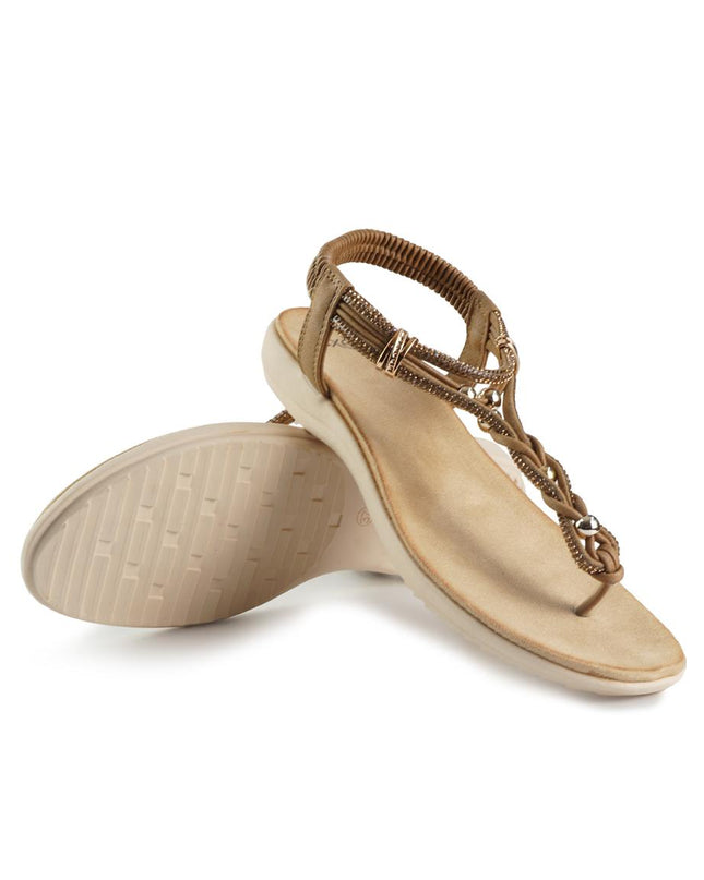 Exe 46067 JA3BROWN