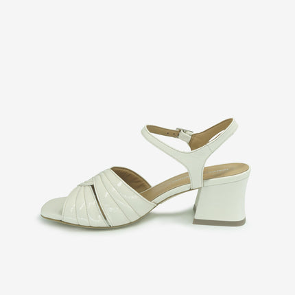 Gianmarco Sorelli 2177ARIA MILK