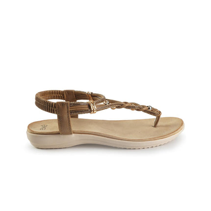 Exe 46067 JA3BROWN