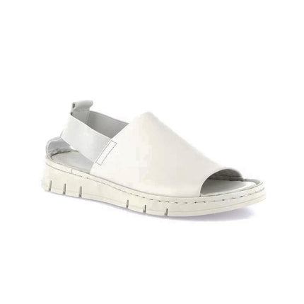 Grunland SA1199 GITAICE