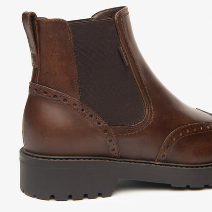 Nero Giardini Stivaletti Chelsea Oxford Donna Pelle marrone - MARIO SPATARELLA