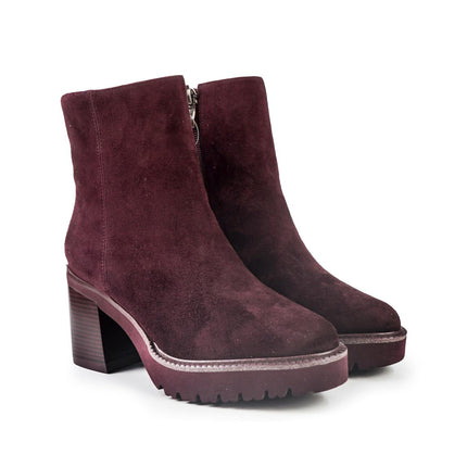 Callaghan Stivaletti Donna con Tacco e Plateau in Camoscio Bordo 679963 SING PRUGNA Callaghan 