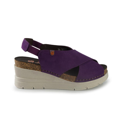 Jungla 8027PURPLE