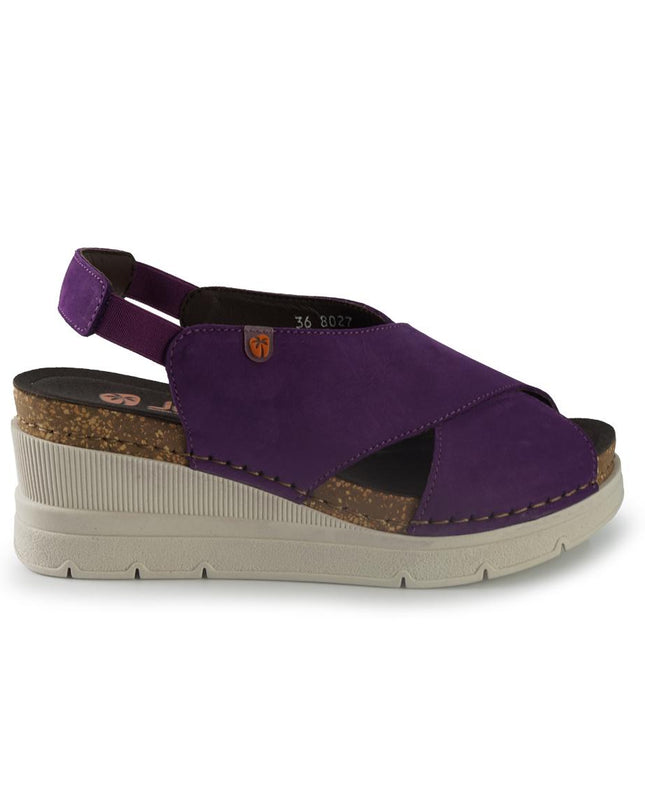 Jungla 8027PURPLE