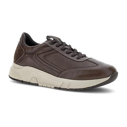 Sneakers Bassa Uomo Pelle Marrone ACTION 220417 BROWN Stonefly 